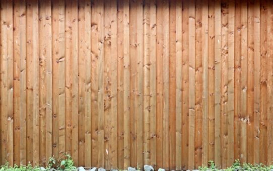 Hegn: En guide til valg og installation af det perfekte hegn